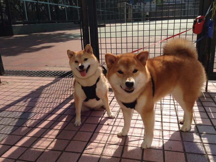 开yun体育-博卡难以摆脱拜仁的前场压制，博卡的主场在哪